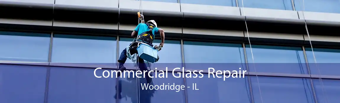 Commercial Glass Repair Woodridge - IL