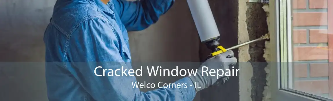 Cracked Window Repair Welco Corners - IL