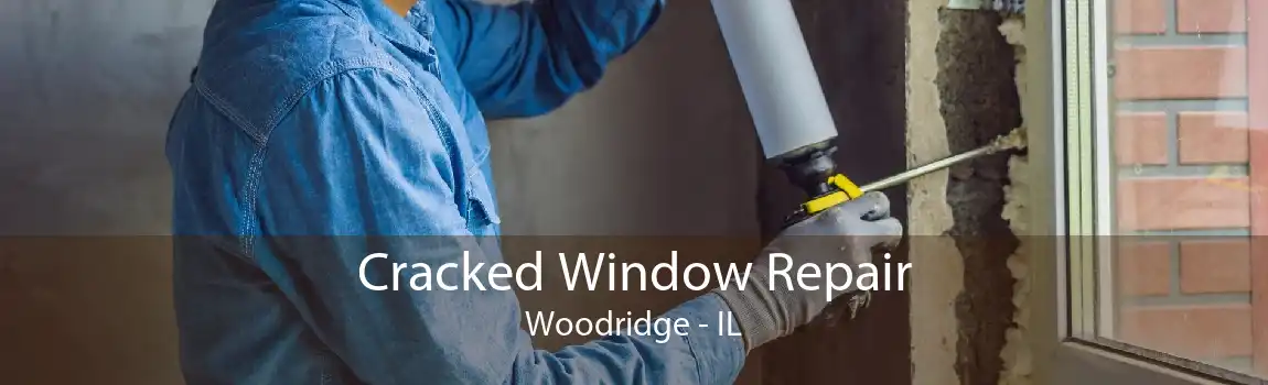 Cracked Window Repair Woodridge - IL