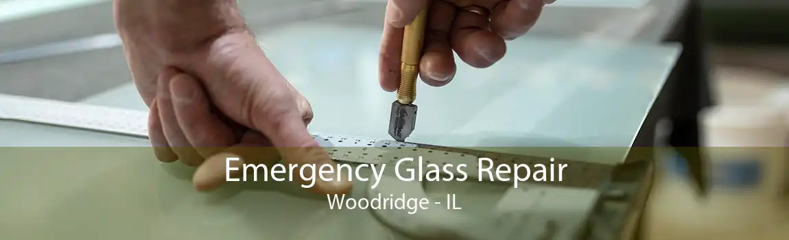 Emergency Glass Repair Woodridge - IL