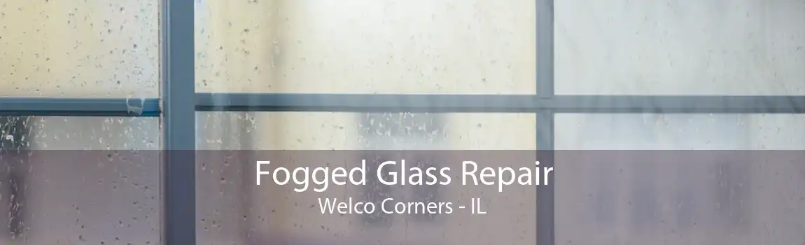 Fogged Glass Repair Welco Corners - IL