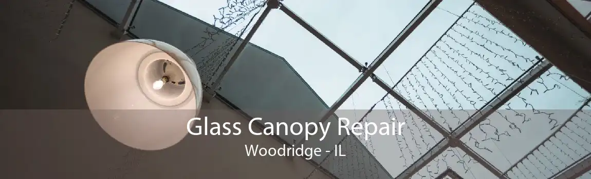 Glass Canopy Repair Woodridge - IL