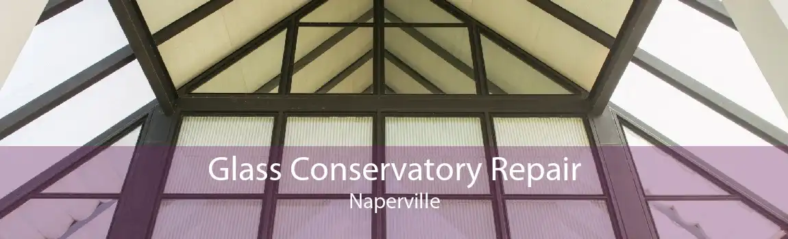 Glass Conservatory Repair Naperville