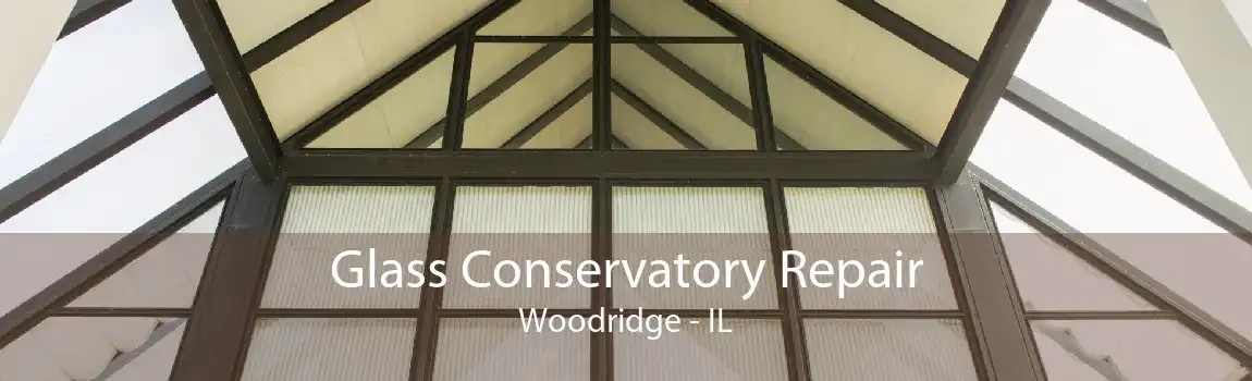 Glass Conservatory Repair Woodridge - IL