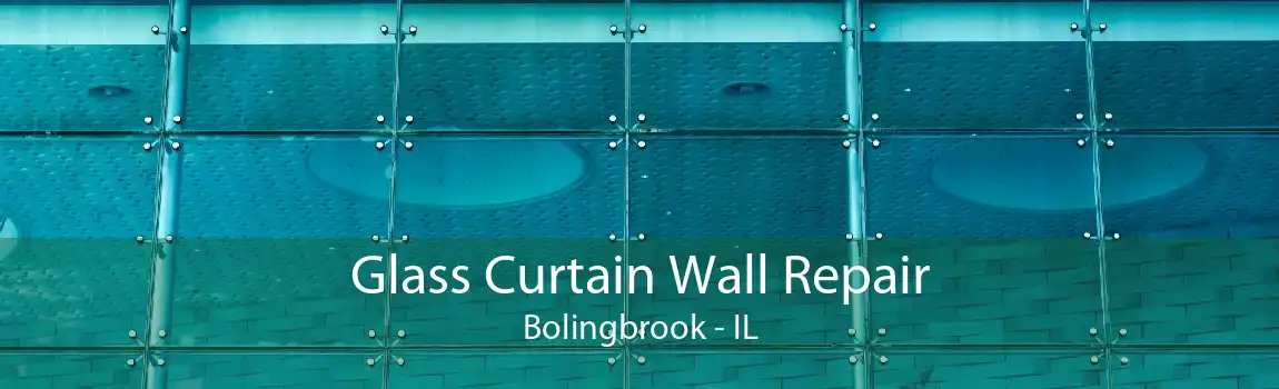 Glass Curtain Wall Repair Bolingbrook - IL