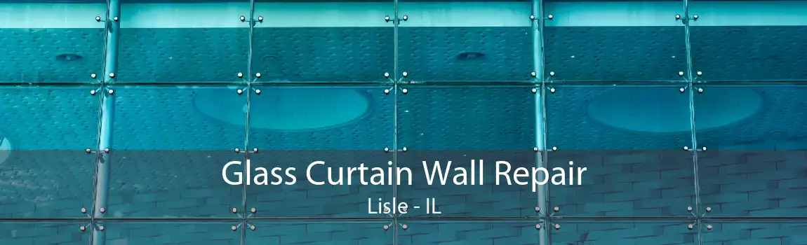 Glass Curtain Wall Repair Lisle - IL