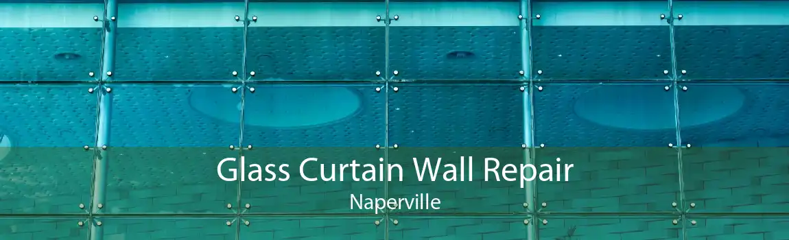 Glass Curtain Wall Repair Naperville