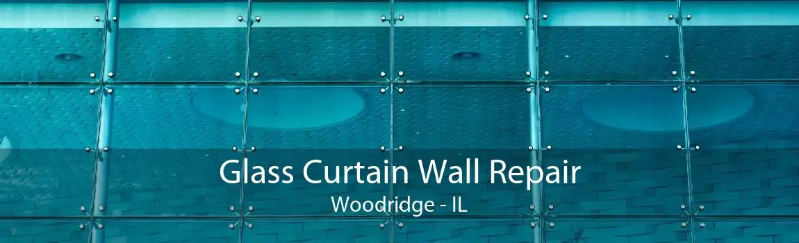 Glass Curtain Wall Repair Woodridge - IL