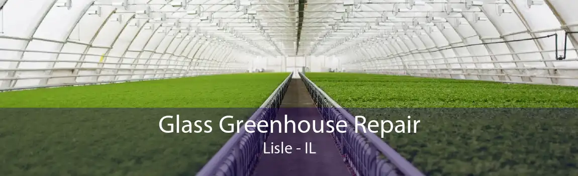 Glass Greenhouse Repair Lisle - IL