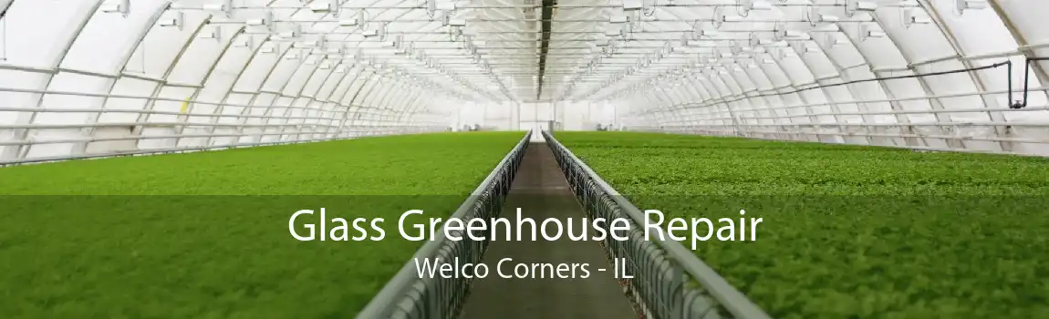 Glass Greenhouse Repair Welco Corners - IL