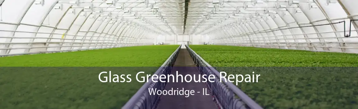 Glass Greenhouse Repair Woodridge - IL