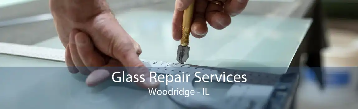 Glass Repair Services Woodridge - IL