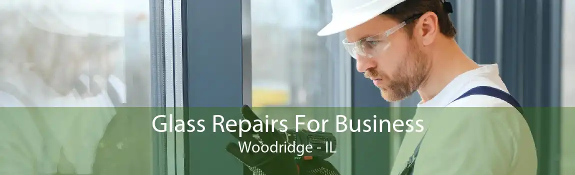 Glass Repairs For Business Woodridge - IL