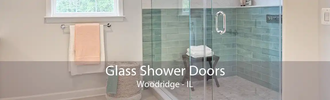 Glass Shower Doors Woodridge - IL