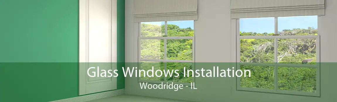 Glass Windows Installation Woodridge - IL