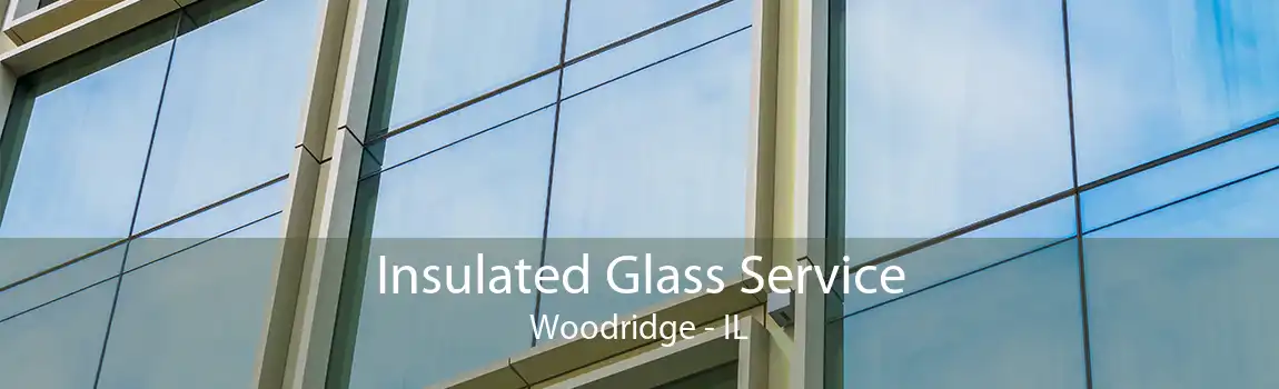 Insulated Glass Service Woodridge - IL