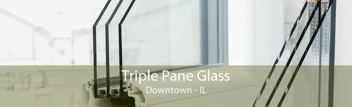 Triple Pane Glass Downtown - IL