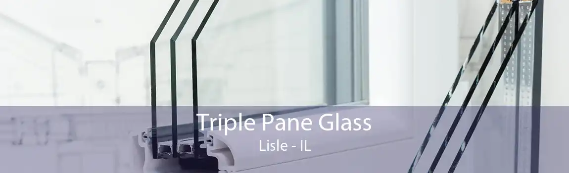 Triple Pane Glass Lisle - IL