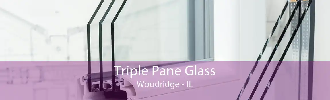 Triple Pane Glass Woodridge - IL