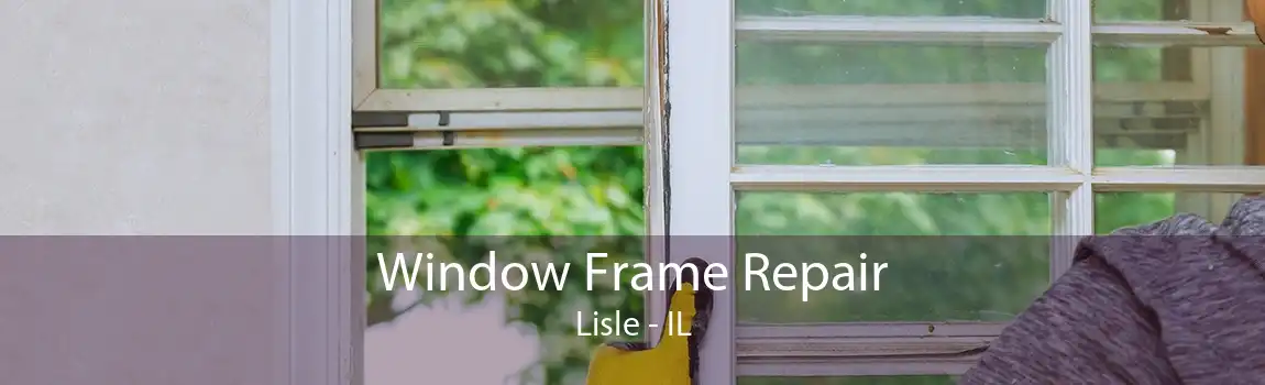 Window Frame Repair Lisle - IL