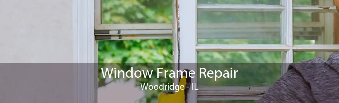 Window Frame Repair Woodridge - IL