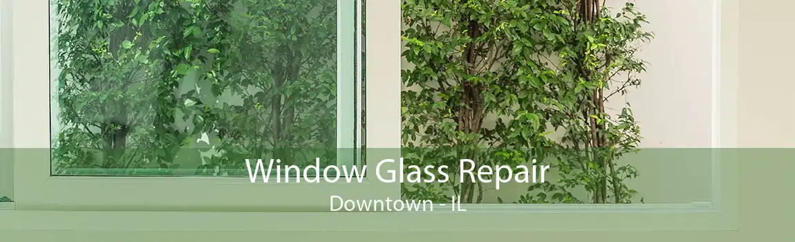 Window Glass Repair Downtown - IL