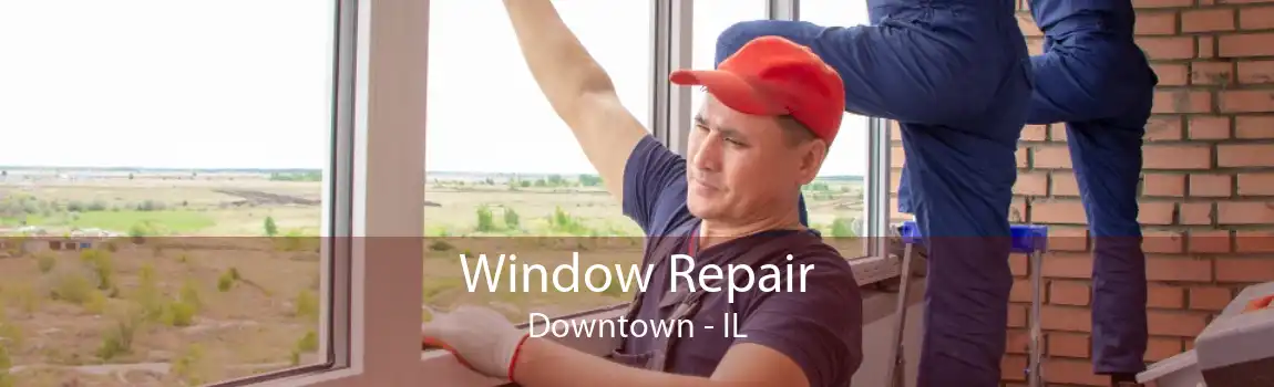 Window Repair Downtown - IL