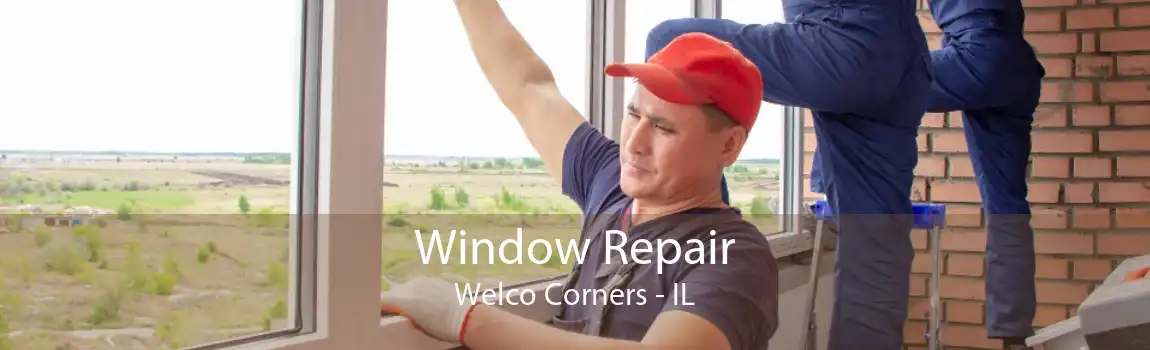 Window Repair Welco Corners - IL