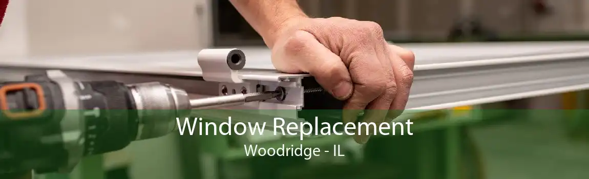 Window Replacement Woodridge - IL