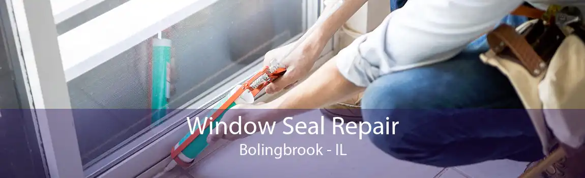 Window Seal Repair Bolingbrook - IL