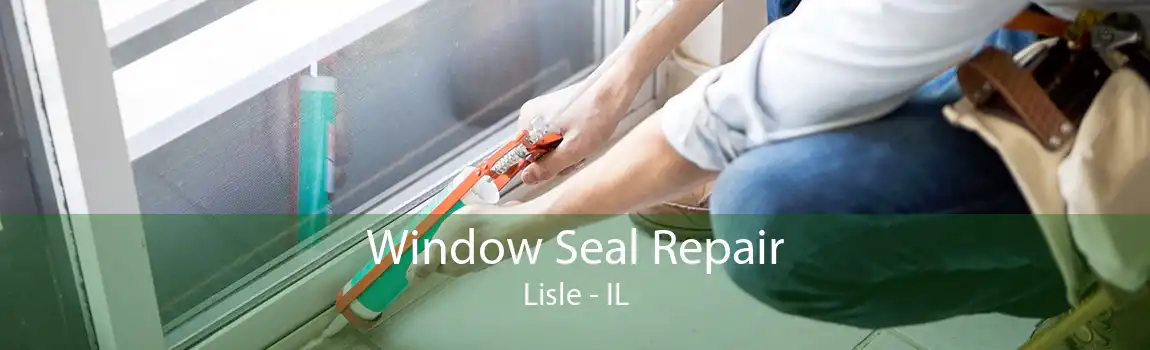 Window Seal Repair Lisle - IL