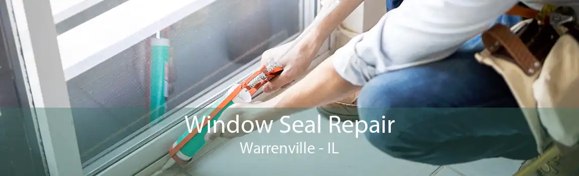 Window Seal Repair Warrenville - IL