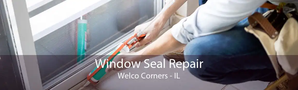 Window Seal Repair Welco Corners - IL