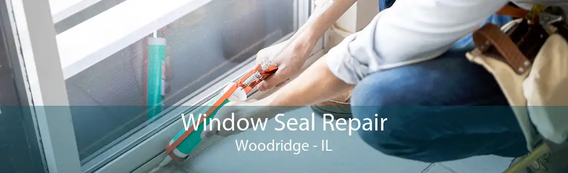 Window Seal Repair Woodridge - IL